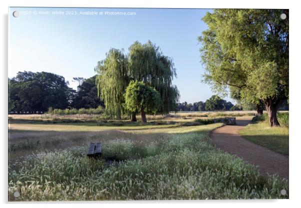 Cycle and walking path mid summer at Bushy Park in Surrey Acrylic by Kevin White