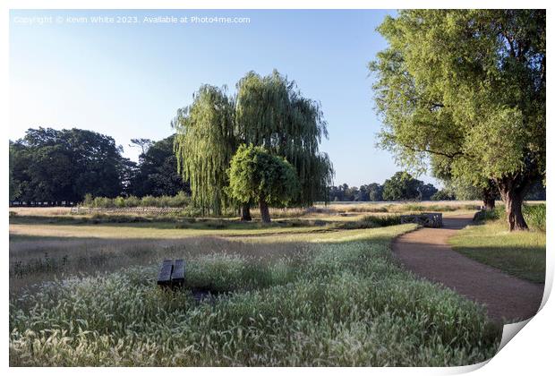 Cycle and walking path mid summer at Bushy Park in Surrey Print by Kevin White