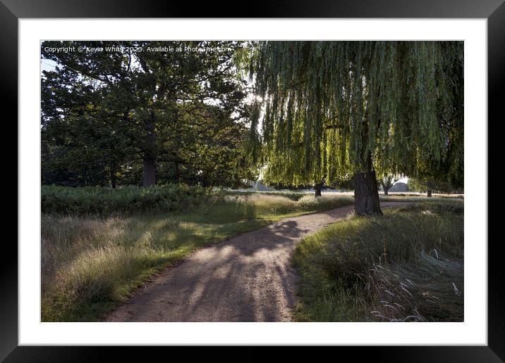 Atmospheric morning walk around Bushy Park in Surrey Framed Mounted Print by Kevin White