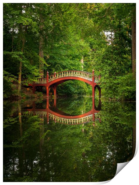 Crim Dell bridge at William and Mary college Print by Steve Heap