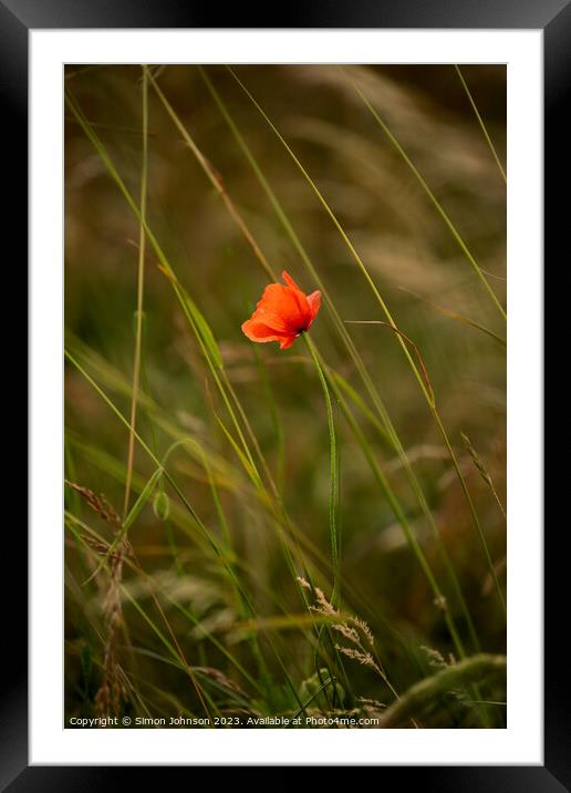 Plant leaves Framed Mounted Print by Simon Johnson