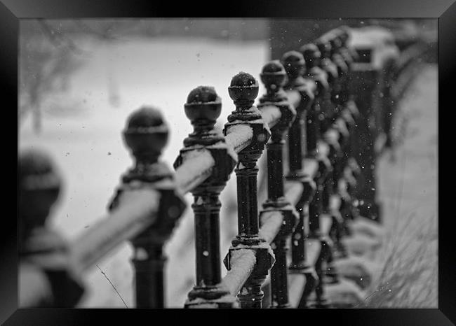snowy railings Framed Print by alan bain