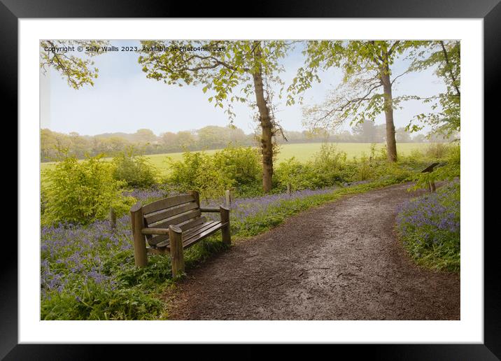 Bench in the rain Framed Mounted Print by Sally Wallis
