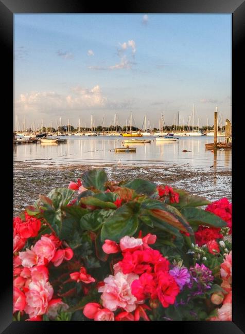 Views across the Brightlingsea Harbour  Framed Print by Tony lopez