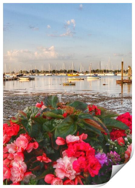 Views across the Brightlingsea Harbour  Print by Tony lopez