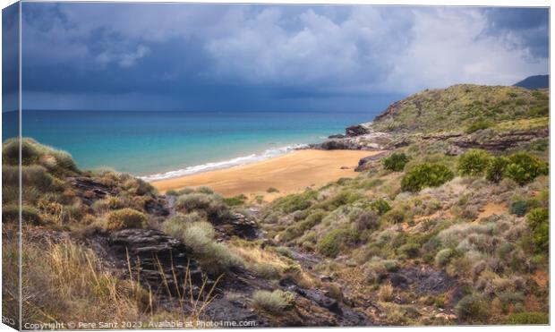 Dynamic Waves Crash Against Calblanque's Sands Canvas Print by Pere Sanz