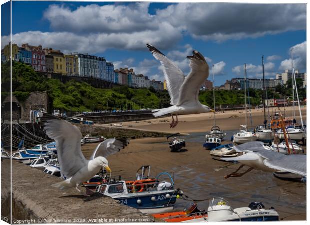 Virws around the seasie town to Tenby, South Wales Canvas Print by Gail Johnson