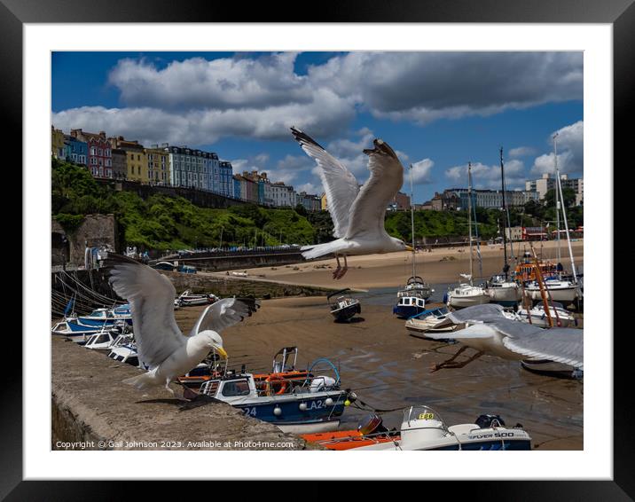 Virws around the seasie town to Tenby, South Wales Framed Mounted Print by Gail Johnson
