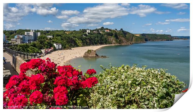 Virws around the seasie town to Tenby, South Wales Print by Gail Johnson