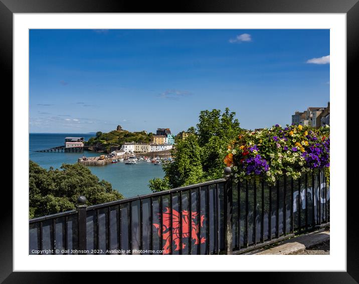 Virws around the seasie town to Tenby, South Wales Framed Mounted Print by Gail Johnson