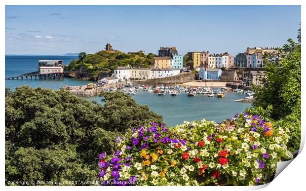 Virws around the seasie town to Tenby, South Wales Print by Gail Johnson