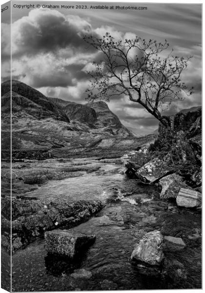 Glencoe lone tree vert monochrome Canvas Print by Graham Moore
