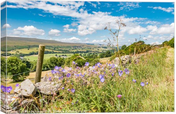 Towards Holwick and Beyond from Middle Side, Teesdale Canvas Print by Richard Laidler