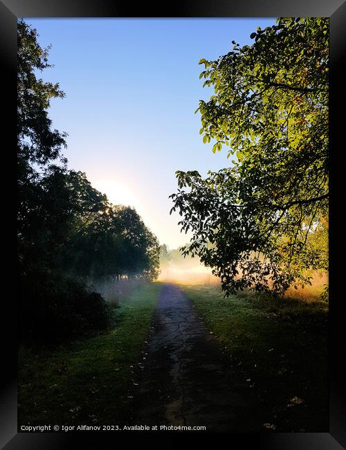 Foggy Sunrise Ahead Framed Print by Igor Alifanov
