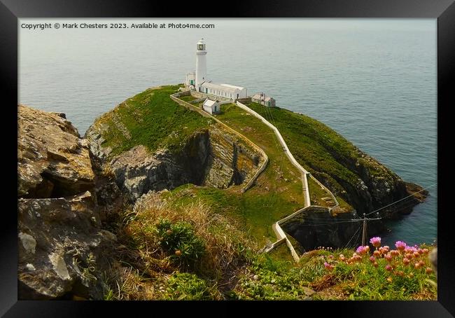South Stack lighthouse  Framed Print by Mark Chesters