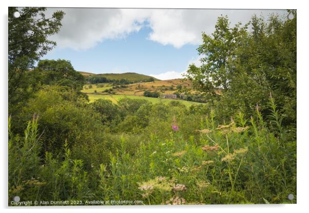 Hillside view Acrylic by Alan Dunnett