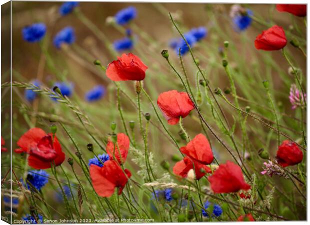 Plant flower Canvas Print by Simon Johnson