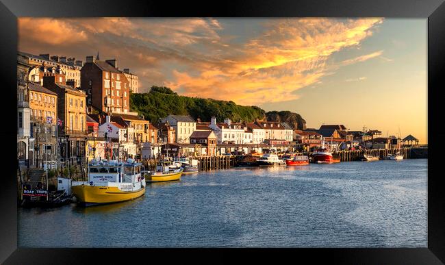 Whitby Harbour at Sunrise Framed Print by Tim Hill