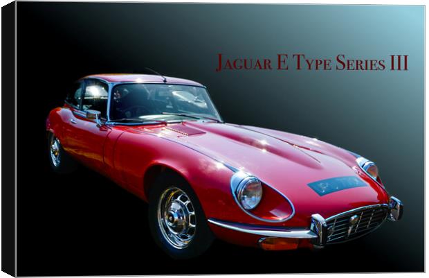 Jaguar E Type Series III Canvas Print by Alison Chambers