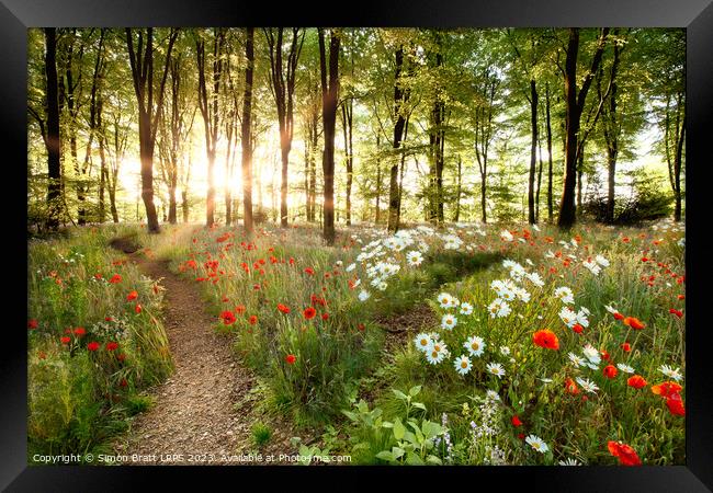 Forest sunrise with spring flowers and path Framed Print by Simon Bratt LRPS