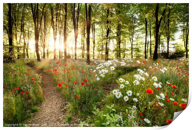 Forest sunrise with spring flowers and path Print by Simon Bratt LRPS