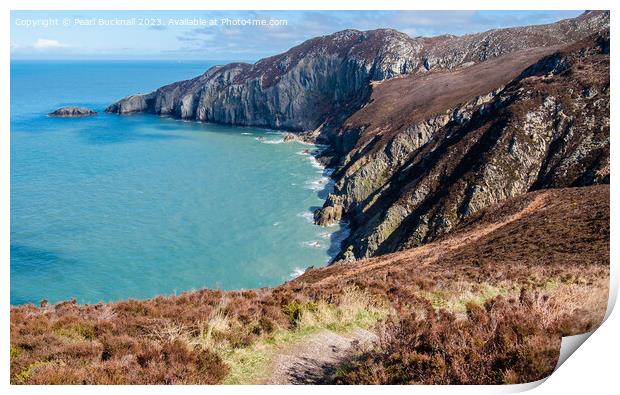 Gogarth Bay and North Stack Anglesey  Print by Pearl Bucknall