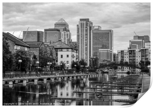 Canary Wharf from Mudchute Print by David Smith