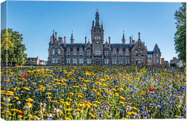 Flower Meadow Dundee Canvas Print by Valerie Paterson