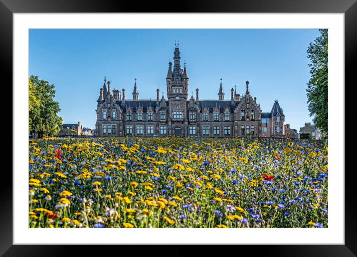 Flower Meadow Dundee Framed Mounted Print by Valerie Paterson