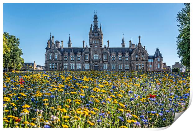 Flower Meadow Dundee Print by Valerie Paterson