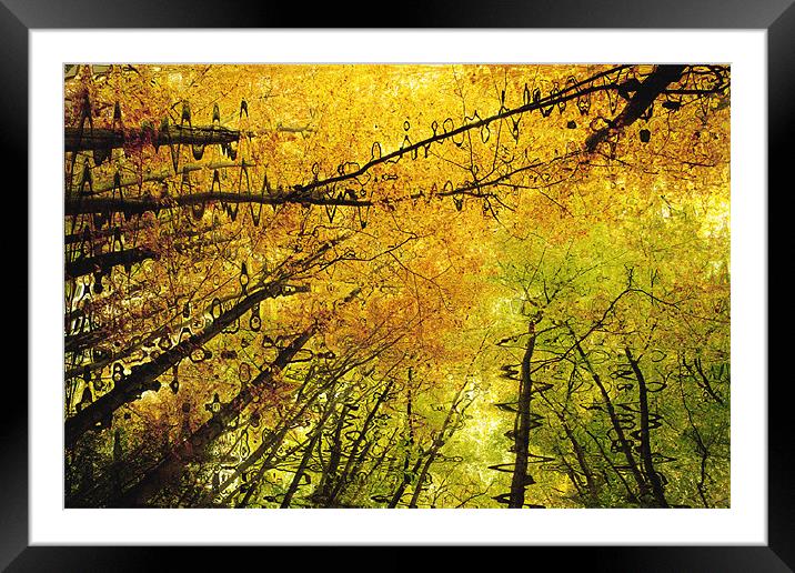 Autumn Colours Abstract V Framed Mounted Print by Natalie Kinnear