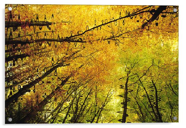Autumn Colours Abstract V Acrylic by Natalie Kinnear