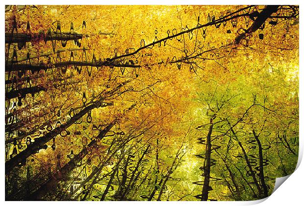 Autumn Colours Abstract V Print by Natalie Kinnear