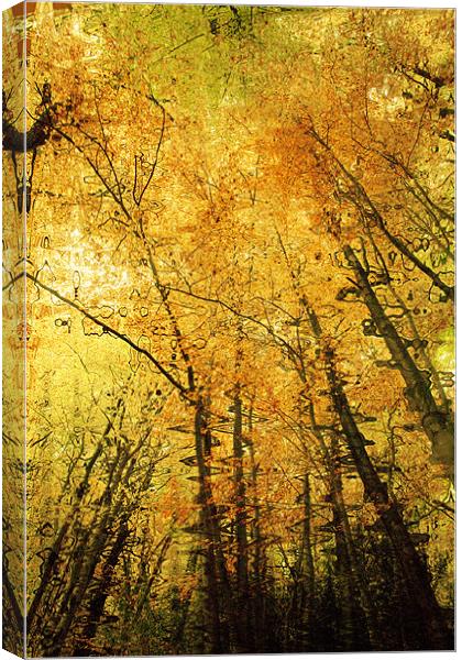 Autumn Colours Abstract IV Canvas Print by Natalie Kinnear