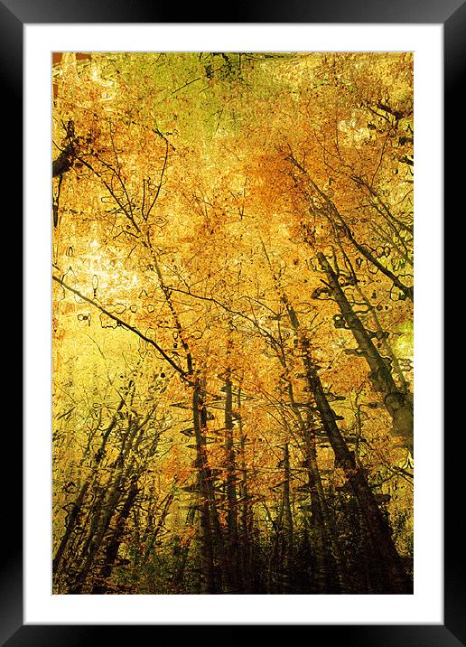 Autumn Colours Abstract IV Framed Mounted Print by Natalie Kinnear