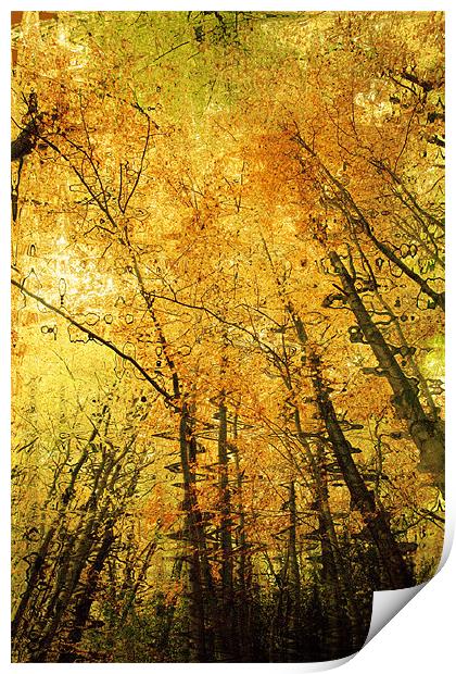 Autumn Colours Abstract IV Print by Natalie Kinnear