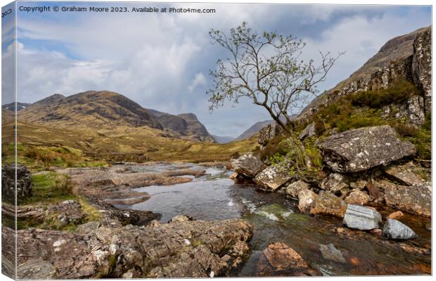 The lone tree in Glencoe Canvas Print by Graham Moore