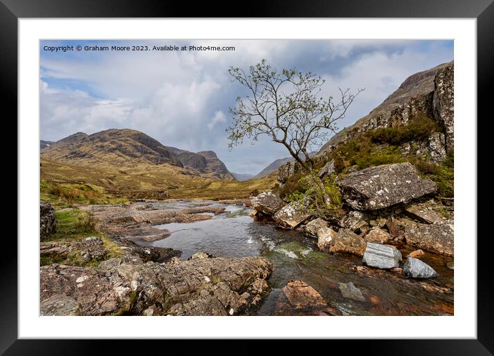 The lone tree in Glencoe Framed Mounted Print by Graham Moore