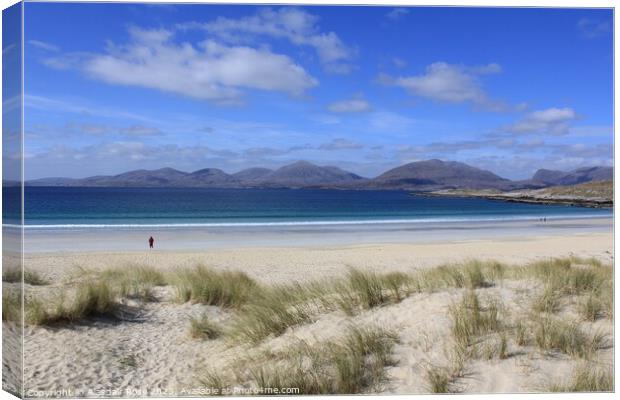 Outdoor oceanbeach Canvas Print by Alasdair Rose