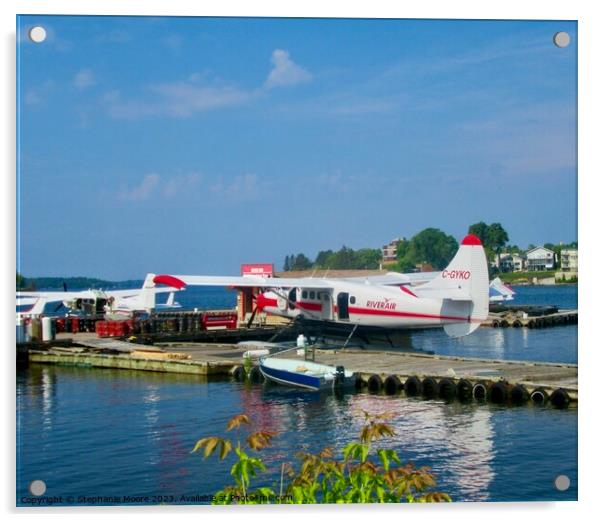 Float Plane Acrylic by Stephanie Moore