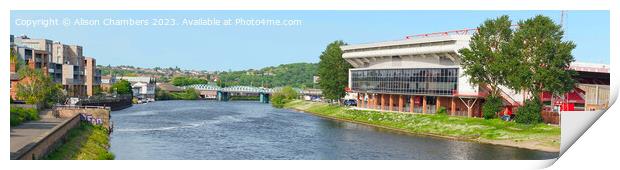 Nottingham Forest FC Panorama  Print by Alison Chambers