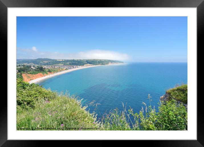The Beautiful Devon Coast Framed Mounted Print by Alison Chambers