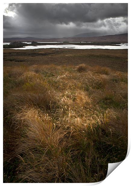 Sunlit grasses on Rannoch Moor Print by Gary Eason