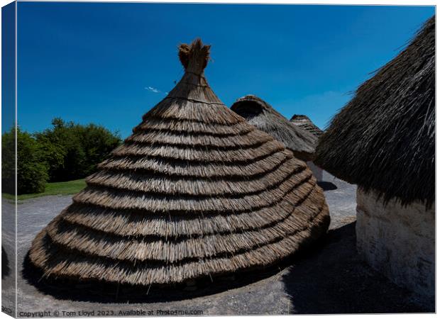Neolithic Houses Canvas Print by Tom Lloyd