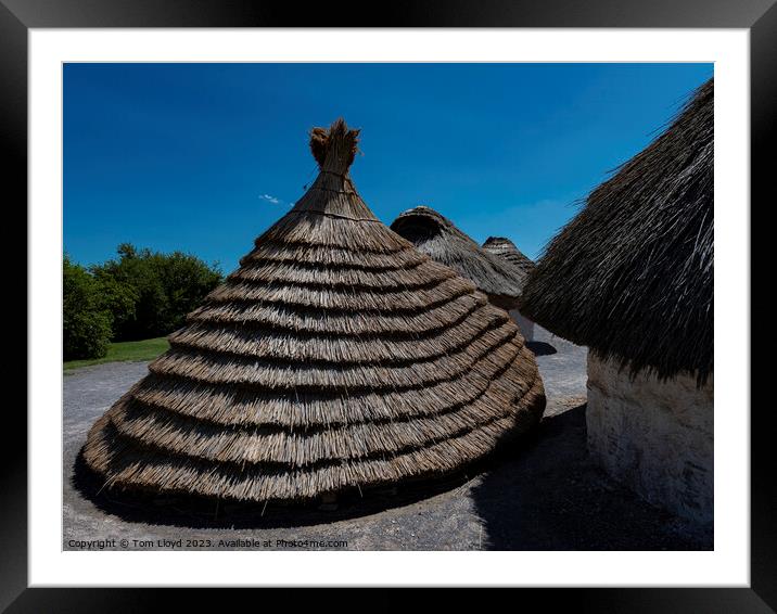 Neolithic Houses Framed Mounted Print by Tom Lloyd