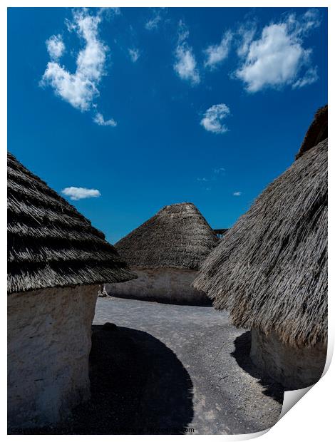 Neolithic Houses Print by Tom Lloyd