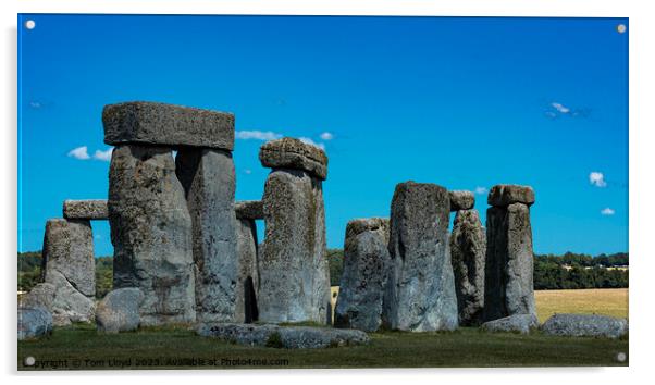 The Stones Acrylic by Tom Lloyd