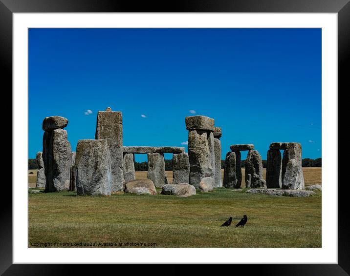 The Stones Framed Mounted Print by Tom Lloyd