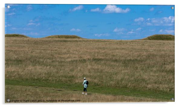 Salisbury Plain Acrylic by Tom Lloyd