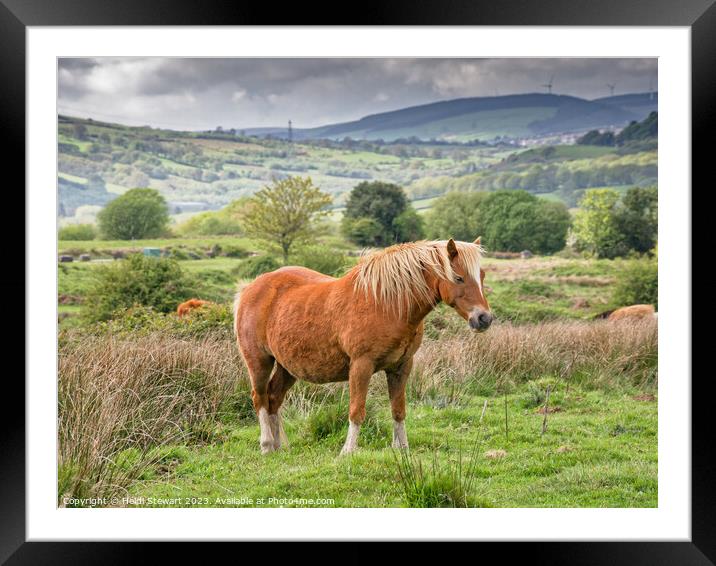 Brown Horse on Llantrisant Common Framed Mounted Print by Heidi Stewart